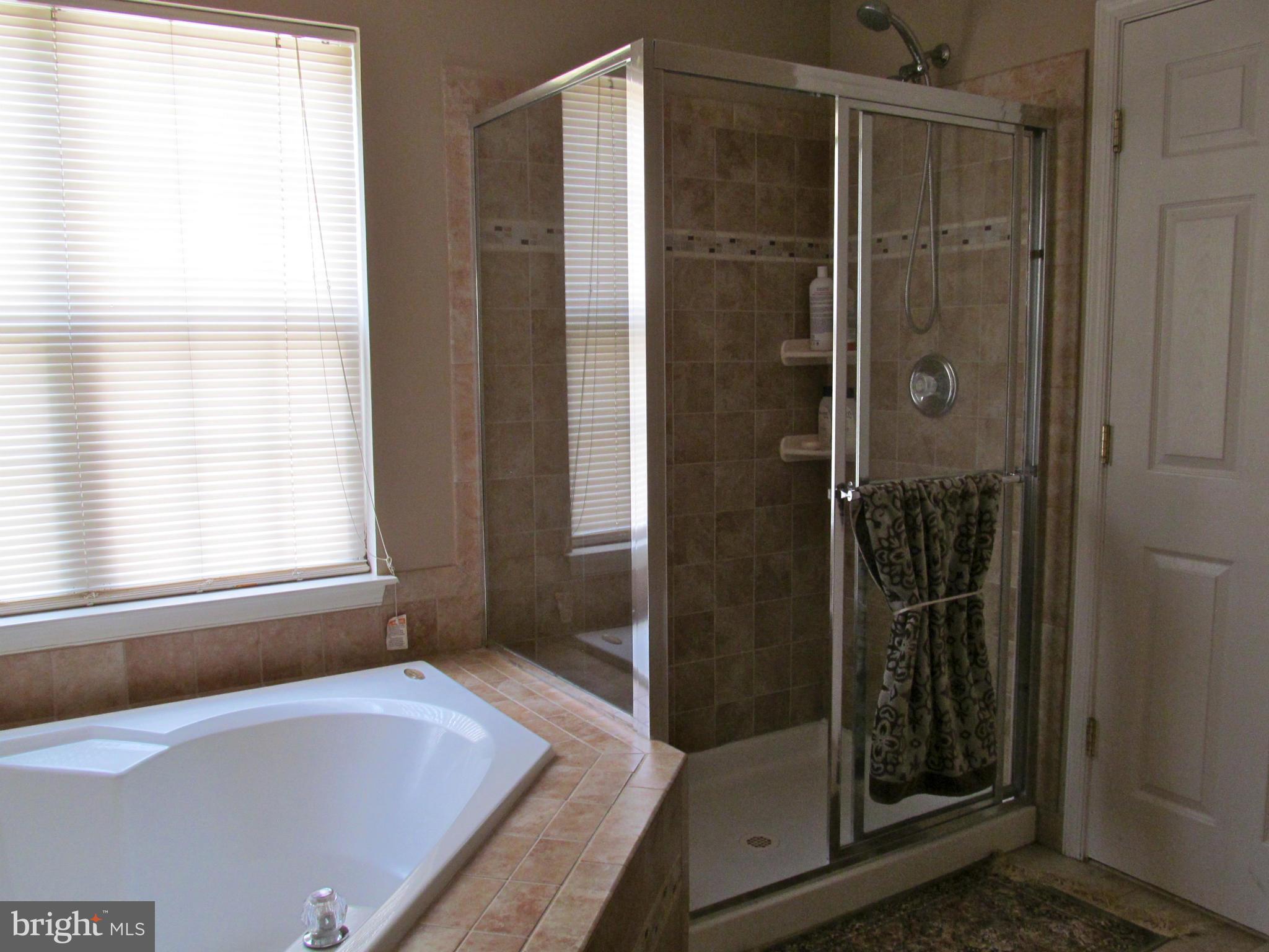14312 Brass Wheel Road Boyds, MD 20841 - Photo 20 of 28 Bath (Master)