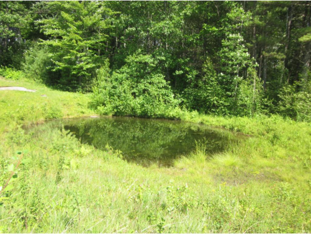 159 New Boston Road Franklin, NH 03235 - Photo 8 of 16