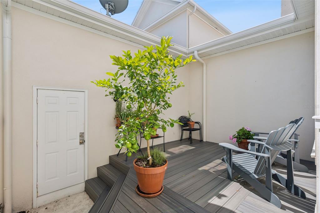323 Celebration Boulevard Celebration, FL 34747 - Photo 38 of 71 Gallery Image 38