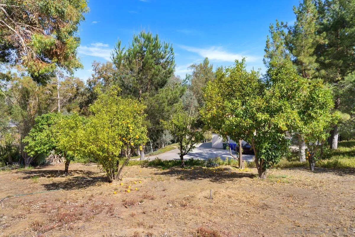 23920 Gymkhana Road Ramona, CA 92065 - Photo 49 of 68 Gallery Image 49