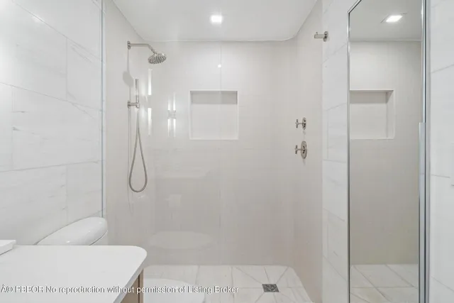 a bathroom with a shower and a toilet