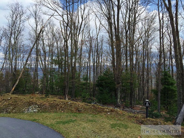 383 Goldenrod Road Boone, NC 28607 - Photo 5 of 11