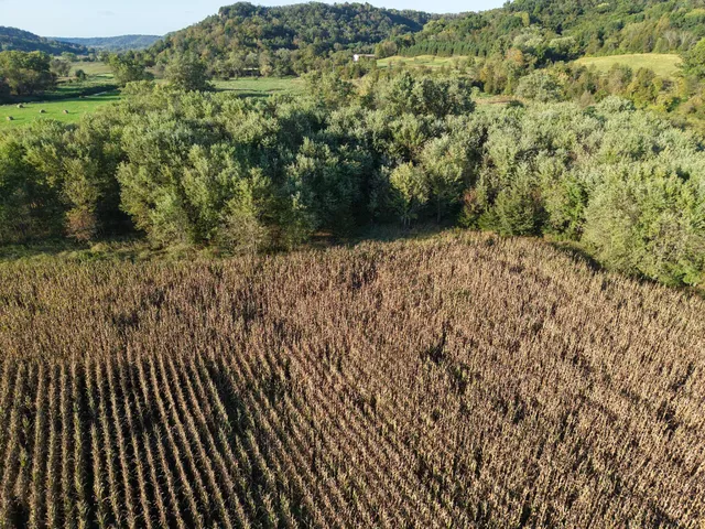 $335,000 | 12824 River Drive, Forest, WI 54664