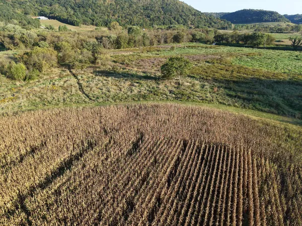 $335,000 | 12824 River Drive, Forest, WI 54664