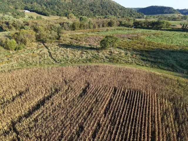 $335,000 | 12824 River Drive, Forest, WI 54664