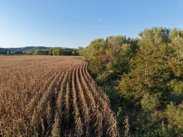 $335,000 | 12824 River Drive, Forest, WI 54664