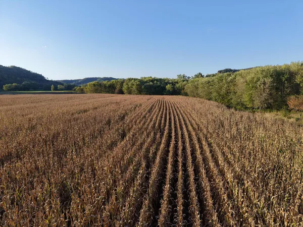 $335,000 | 12824 River Drive, Forest, WI 54664