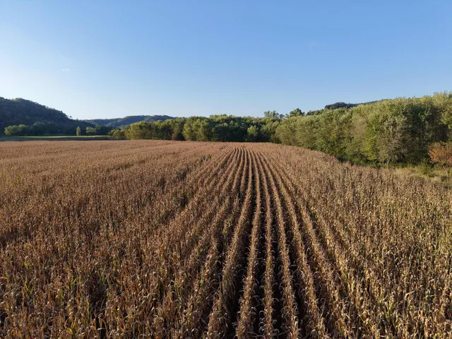 $335,000 | 12824 River Drive, Forest, WI 54664