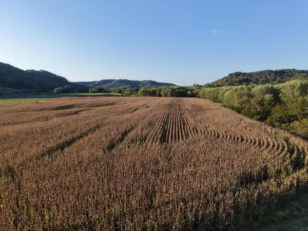 $335,000 | 12824 River Drive, Forest, WI 54664