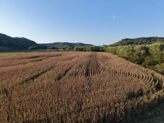 $335,000 | 12824 River Drive, Forest, WI 54664