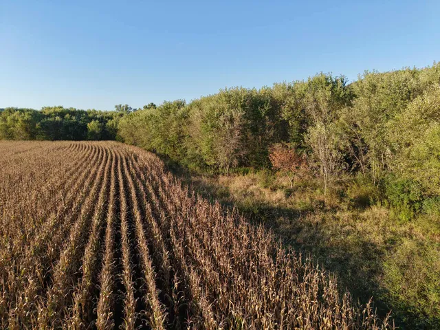 $335,000 | 12824 River Drive, Forest, WI 54664