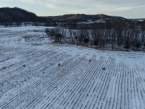 $335,000 | 12824 River Drive, Forest, WI 54664