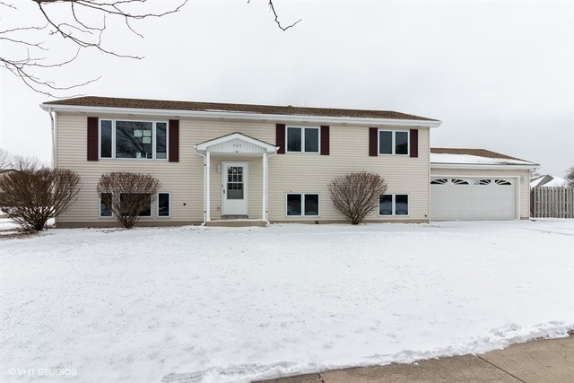 795 Longlane Road New Lenox, IL 60451 - Photo 1 of 25