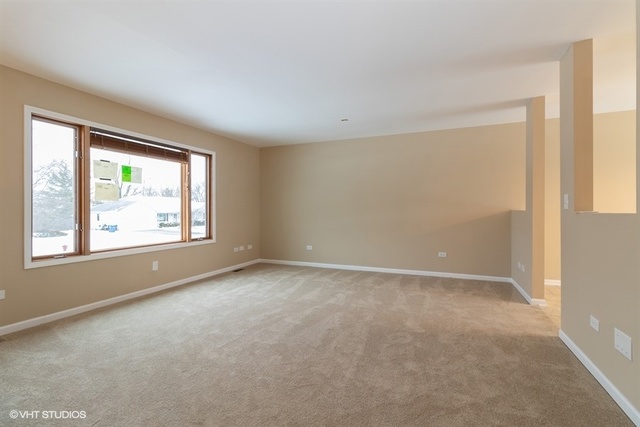 795 Longlane Road New Lenox, IL 60451 - Photo 4 of 25