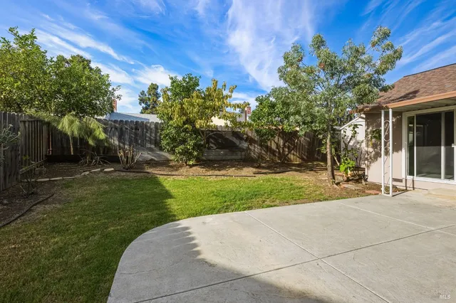 a view of a park with plants and trees