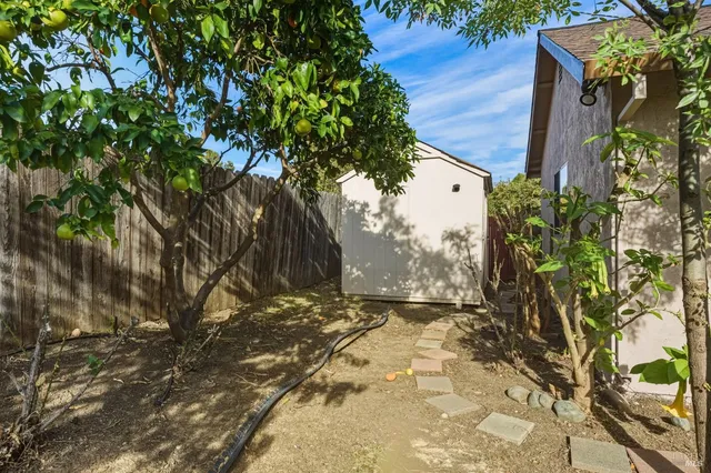 a view of a yard with a tree