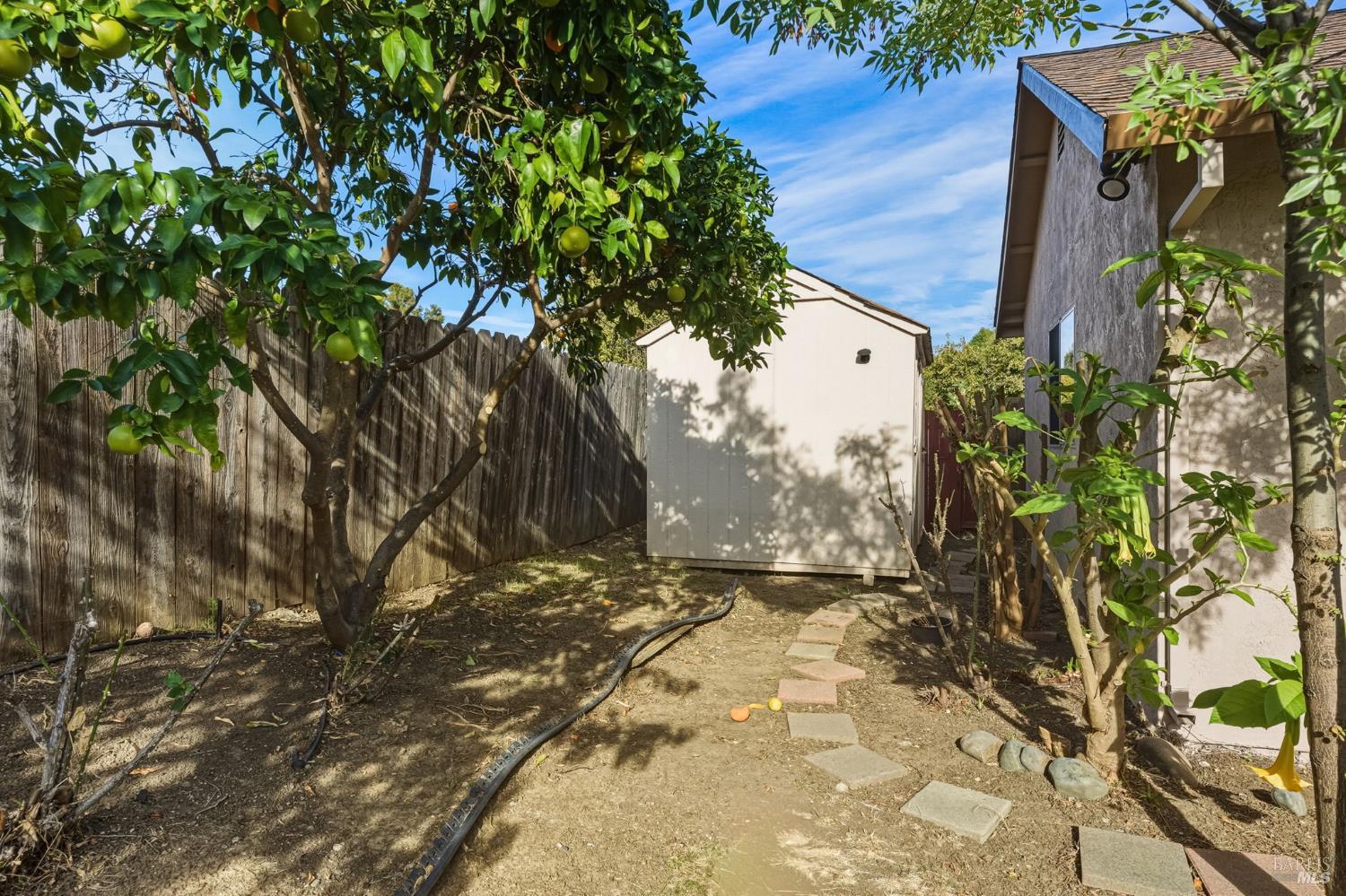 570 Berkeley Way Fairfield, CA 94533 - Photo 33 of 34 a view of a yard with a tree