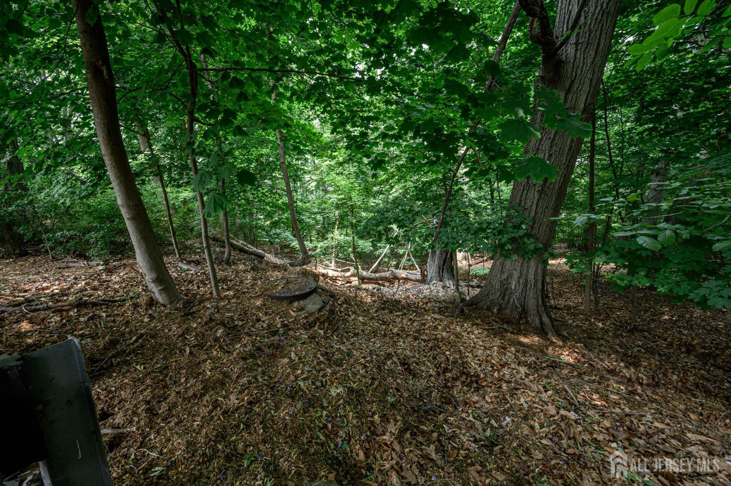 39 Forest Drive Bloomfield, NJ 07003 - Photo 2 of 15 a view of a forest