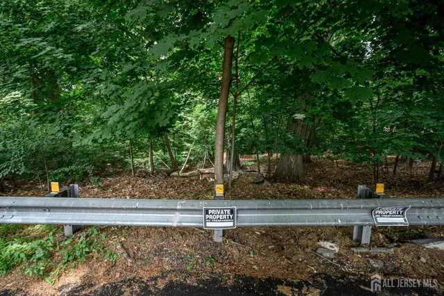 a view of a forest with trees in the background