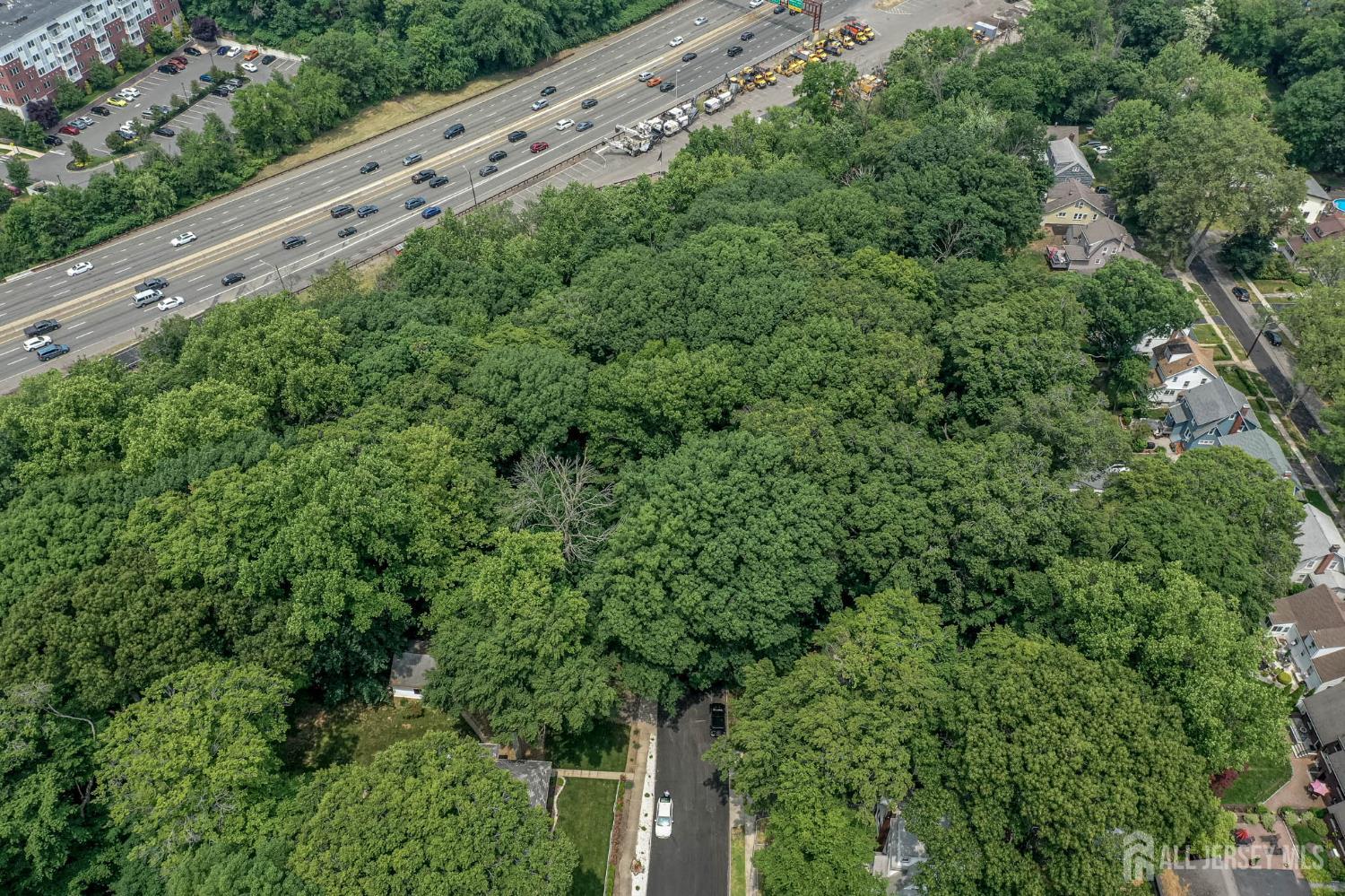 39 Forest Drive Bloomfield, NJ 07003 - Photo 6 of 15 a large green field with lots of bushes