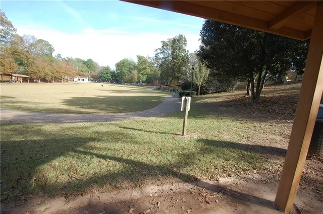 a view of a yard with a tree
