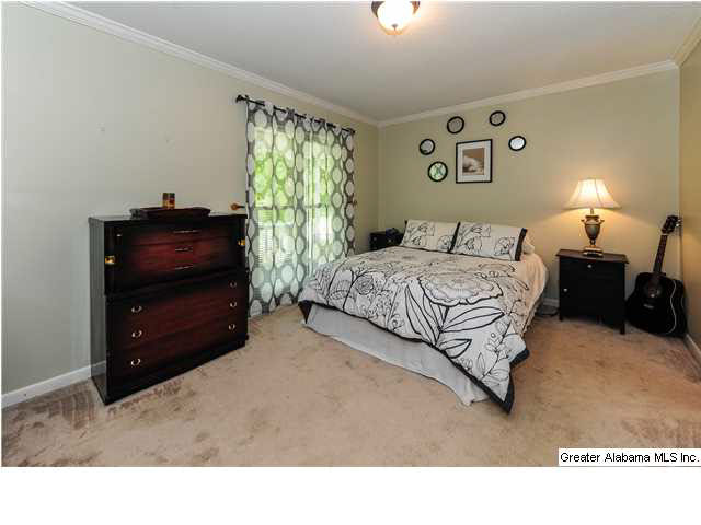 378 Shadow Stone Lane Oneonta, AL 35121 - Photo 12 of 22