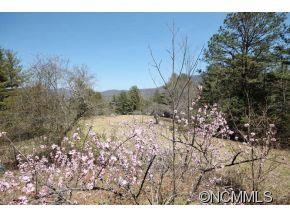 125 B B And B Stables Road Fairview, NC 28730 - Photo 5 of 23 Gallery Image 5