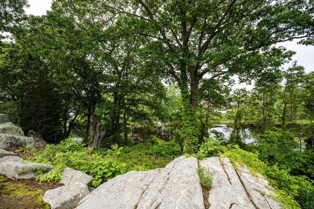 21 Honeysuckle Road Gloucester, MA 01930 - Photo 42 of 42 Gallery Image 42
