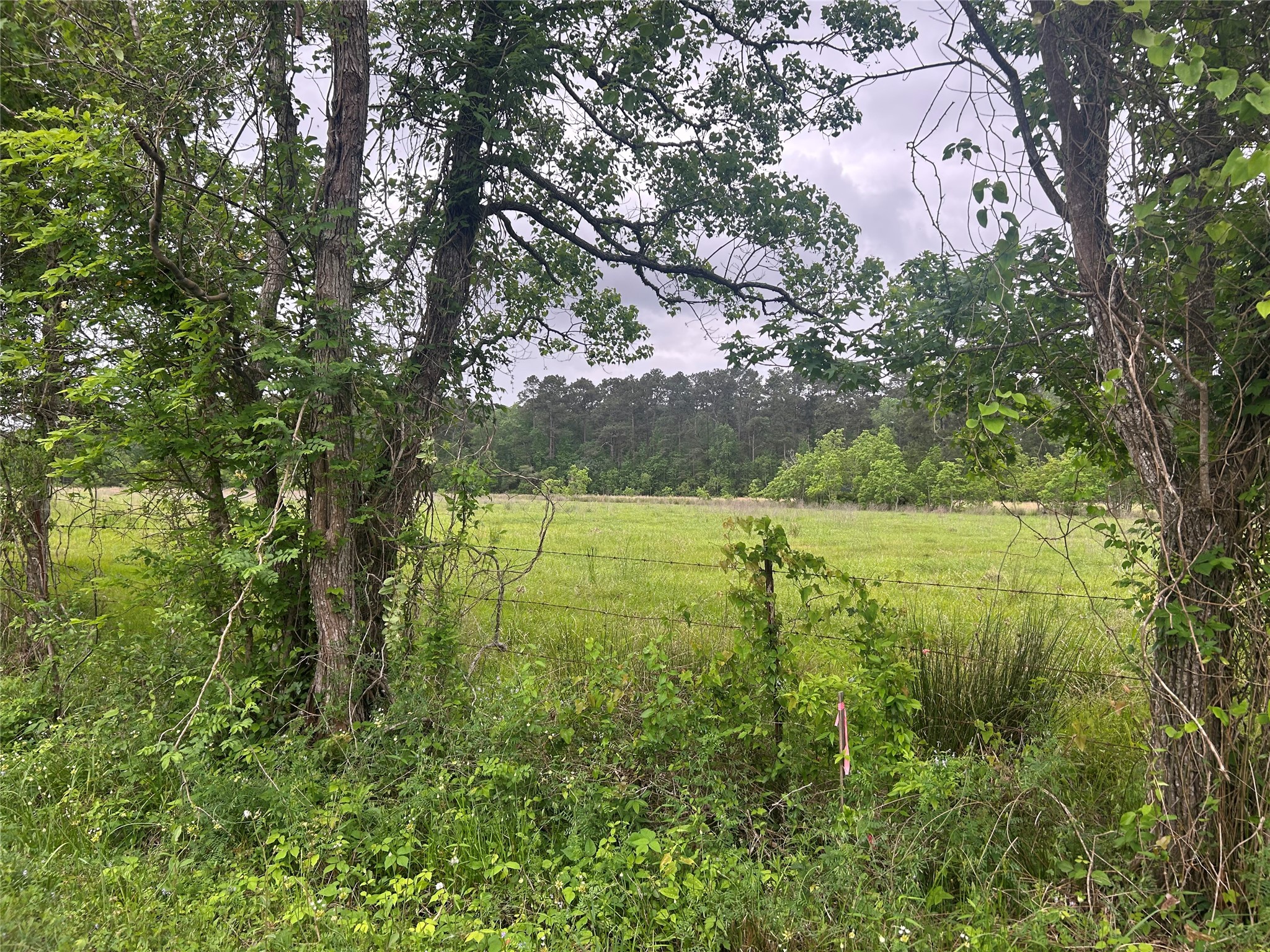 Lot 1 Minnie West Road Hull, TX 77564 - Photo 4 of 16