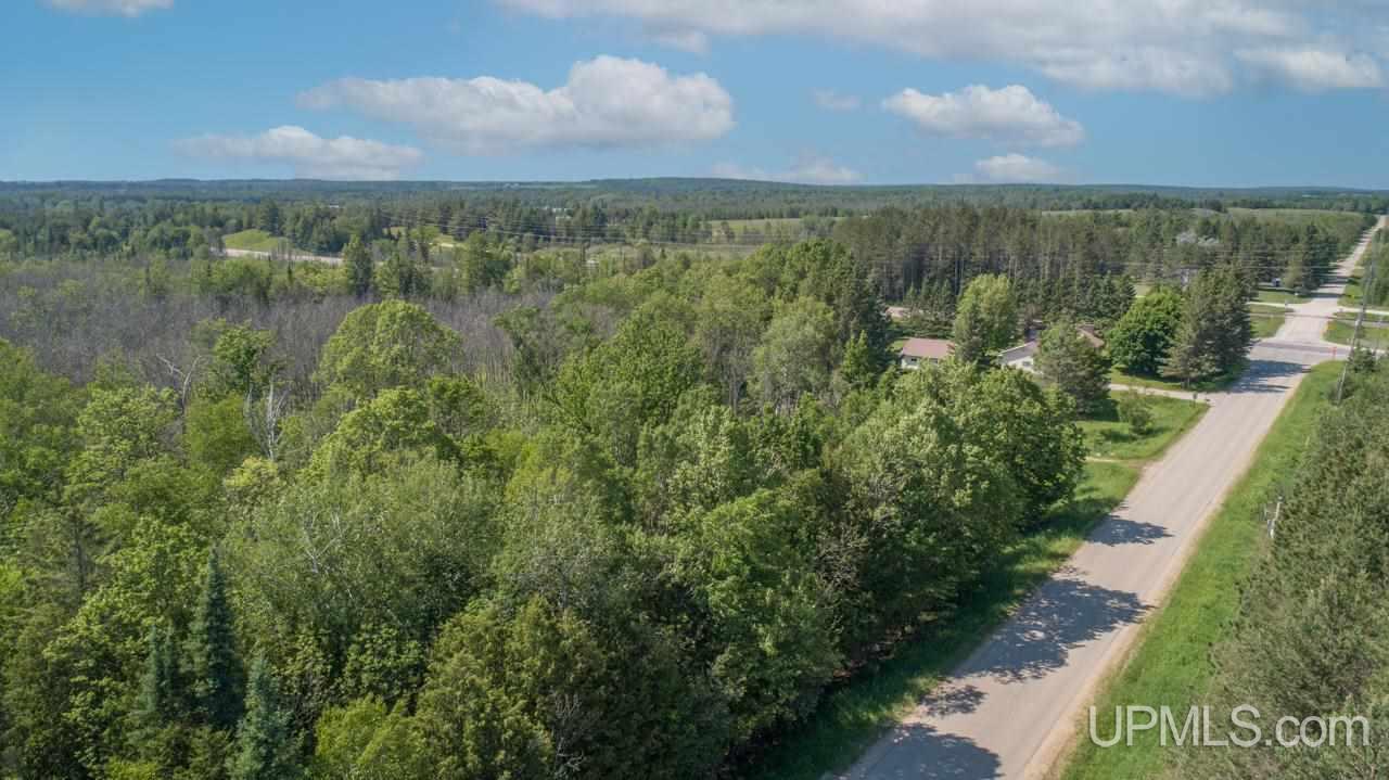 1 D-1 Road Wilson, MI 49896 - Photo 9 of 14