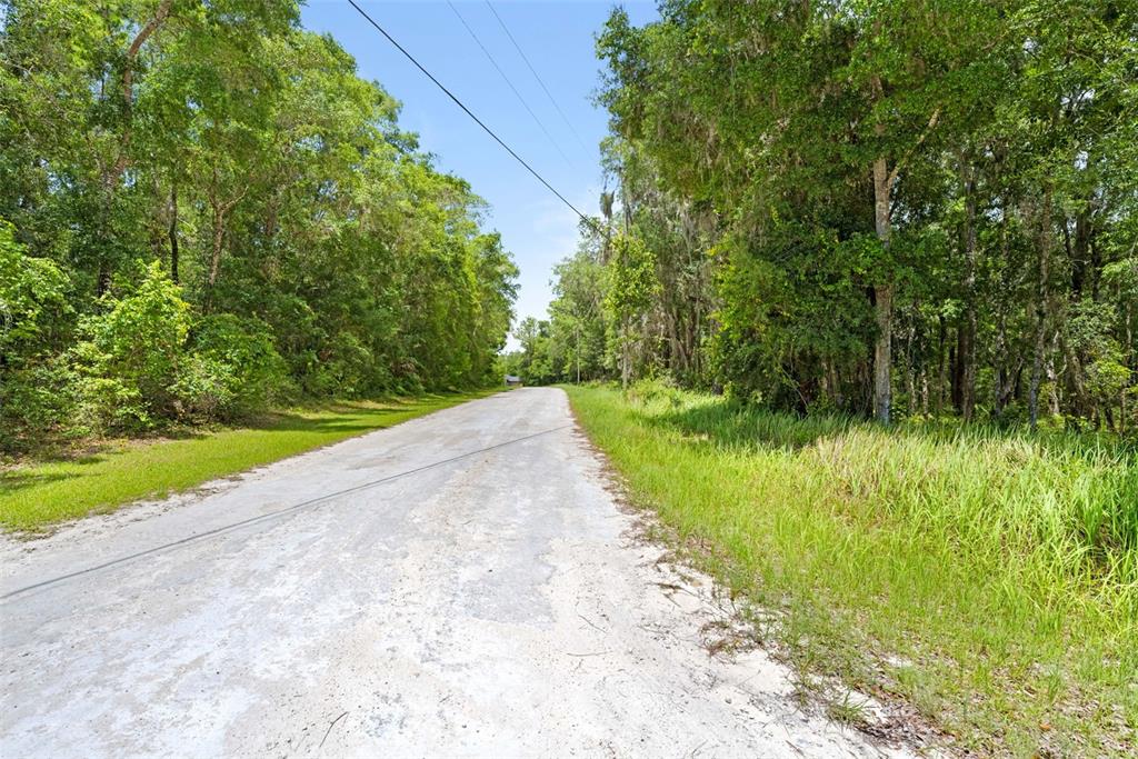 0 Ricebird Avenue, Unit LOT 89 Weeki Wachee, FL 34614 - Photo 16 of 27