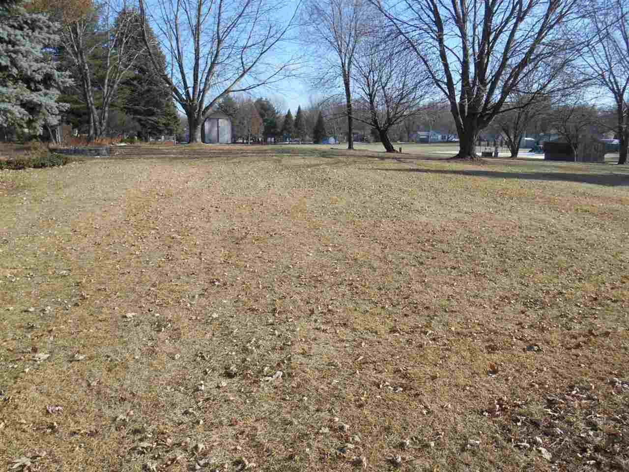 417 Wayne Road Rochelle, IL 61068 - Photo 8 of 8 a view of a yard with trees