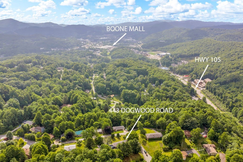 443 Dogwood Road Boone, NC 28607 - Photo 6 of 33