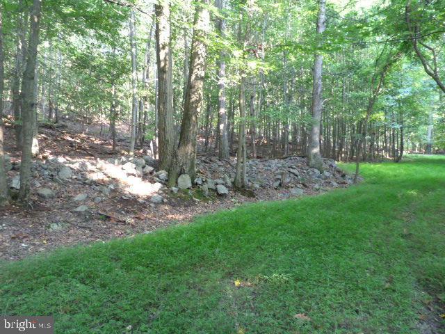 Boonsboro Mountain Road Boonsboro, MD 21713 - Photo 3 of 11