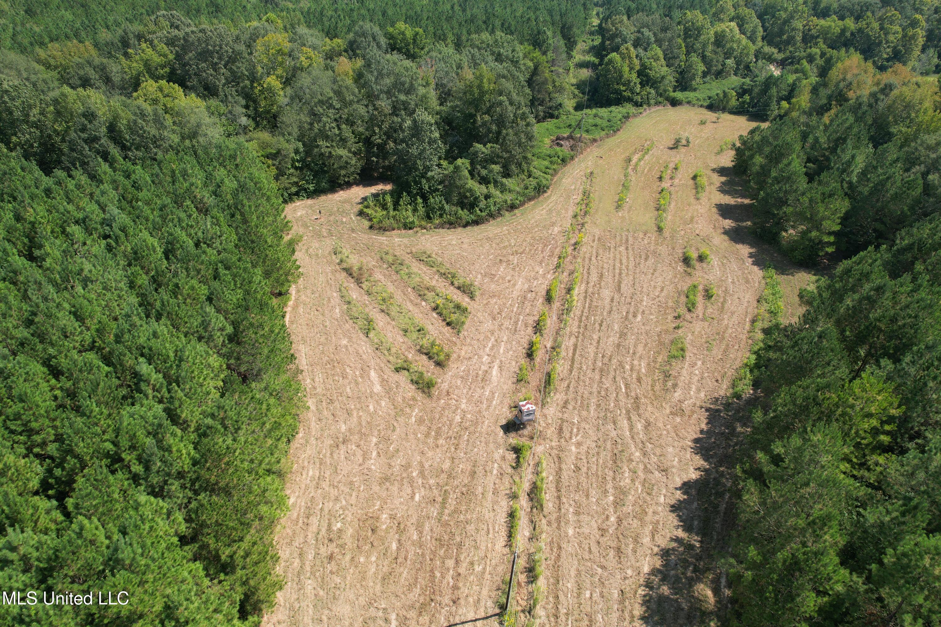 2928 Stokes Cemetary Road Durant, MS 39063 - Photo 15 of 86 DJI_0014