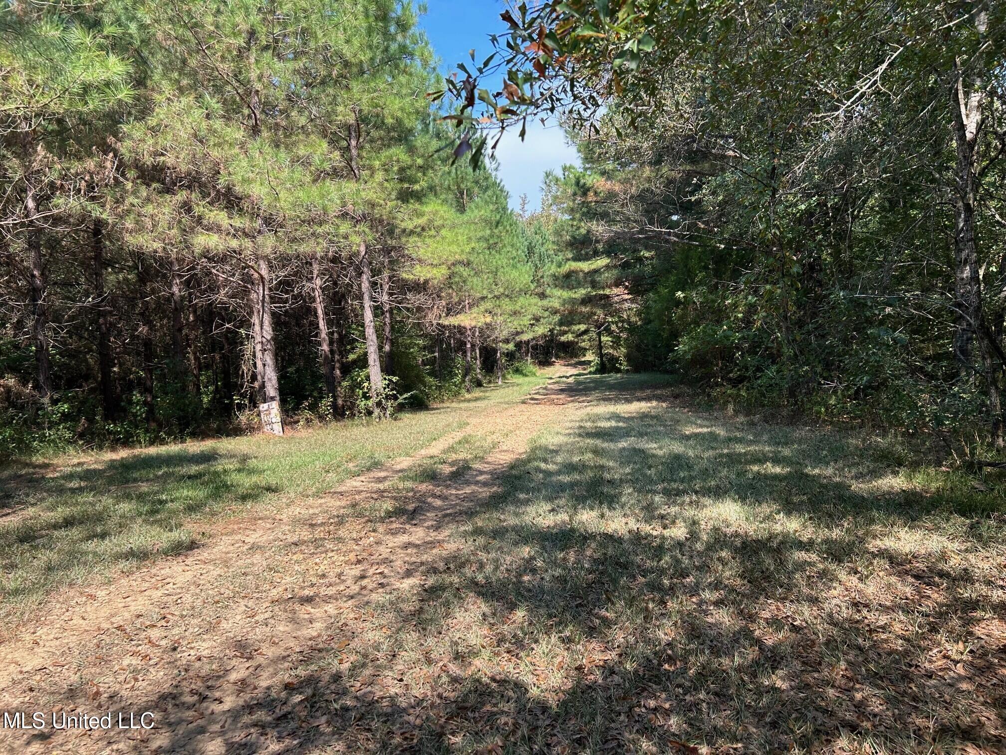 2928 Stokes Cemetary Road Durant, MS 39063 - Photo 16 of 86 a