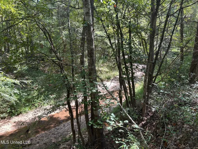 $310,000 | 2928 Stokes Cemetary Road, Durant, MS 39063