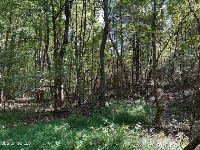 $310,000 | 2928 Stokes Cemetary Road, Durant, MS 39063