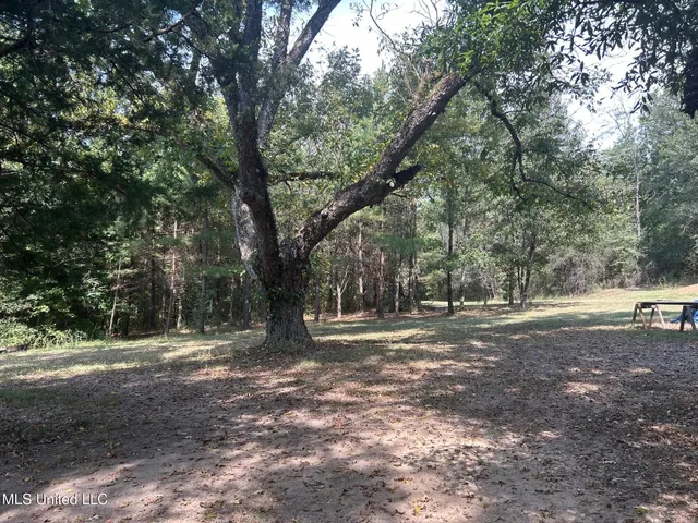 $310,000 | 2928 Stokes Cemetary Road, Durant, MS 39063