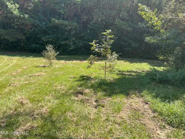 $310,000 | 2928 Stokes Cemetary Road, Durant, MS 39063