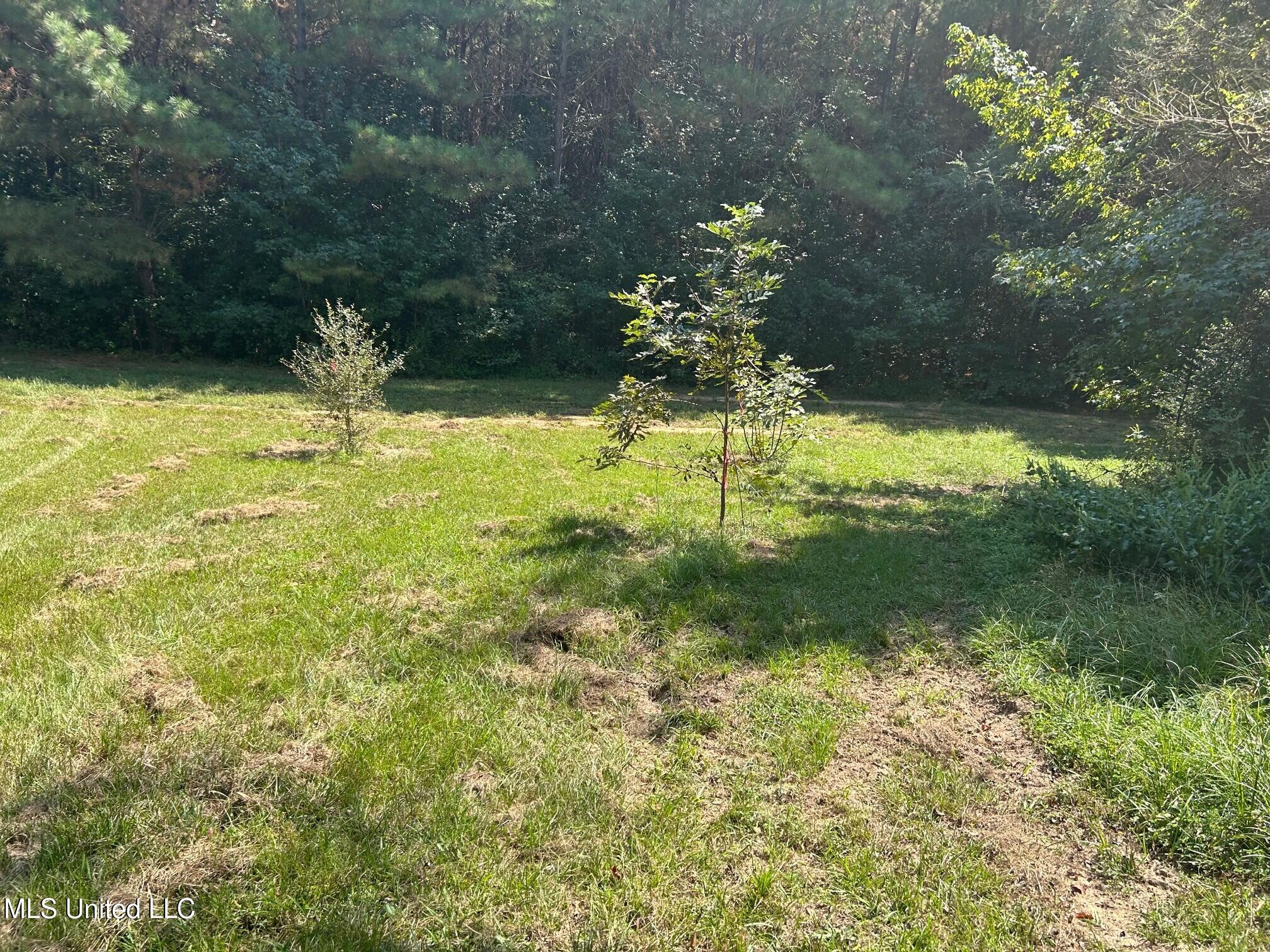 2928 Stokes Cemetary Road Durant, MS 39063 - Photo 21 of 86 cc