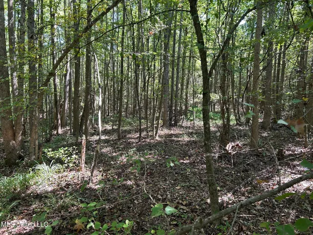 $310,000 | 2928 Stokes Cemetary Road, Durant, MS 39063