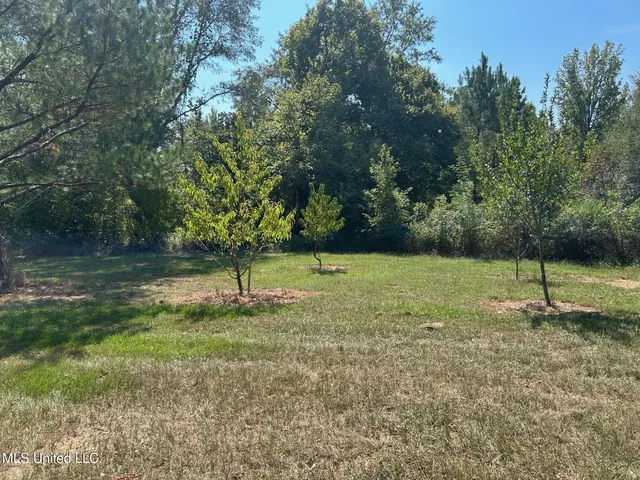 $310,000 | 2928 Stokes Cemetary Road, Durant, MS 39063