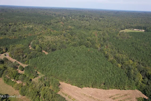 $310,000 | 2928 Stokes Cemetary Road, Durant, MS 39063