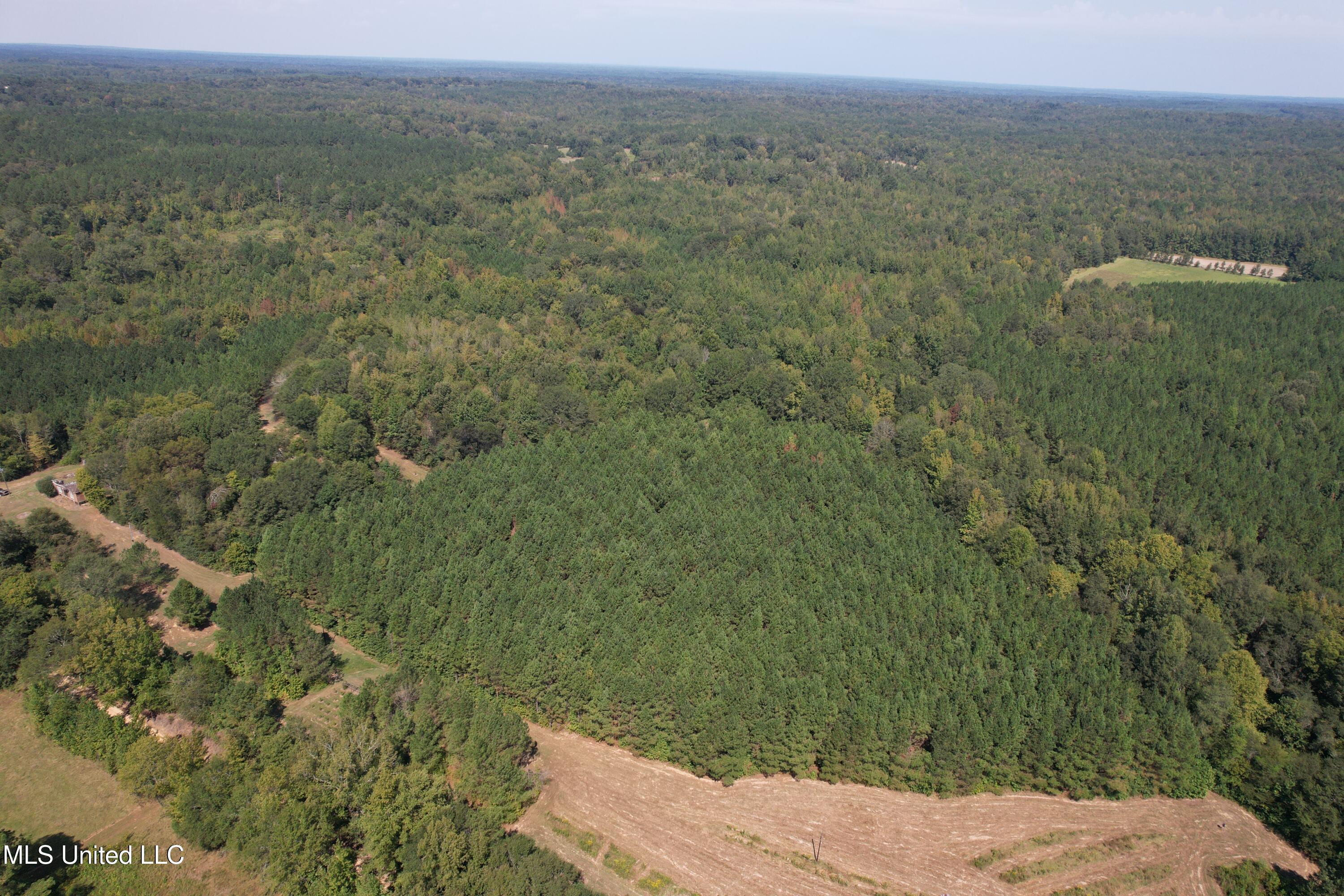 2928 Stokes Cemetary Road Durant, MS 39063 - Photo 25 of 86 DJI_0013