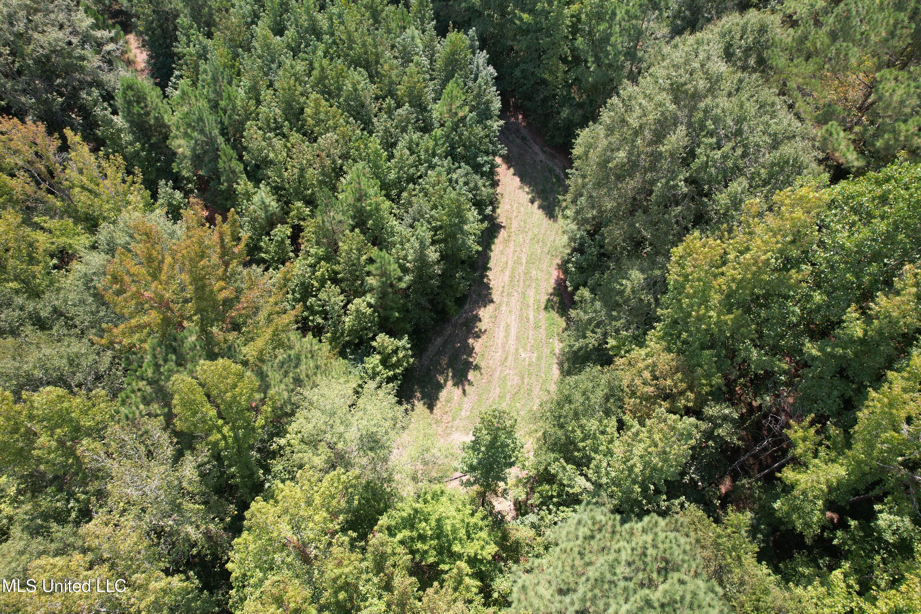 2928 Stokes Cemetary Road Durant, MS 39063 - Photo 26 of 86 DJI_0019