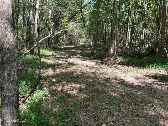 $310,000 | 2928 Stokes Cemetary Road, Durant, MS 39063