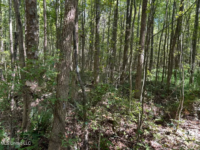 $310,000 | 2928 Stokes Cemetary Road, Durant, MS 39063