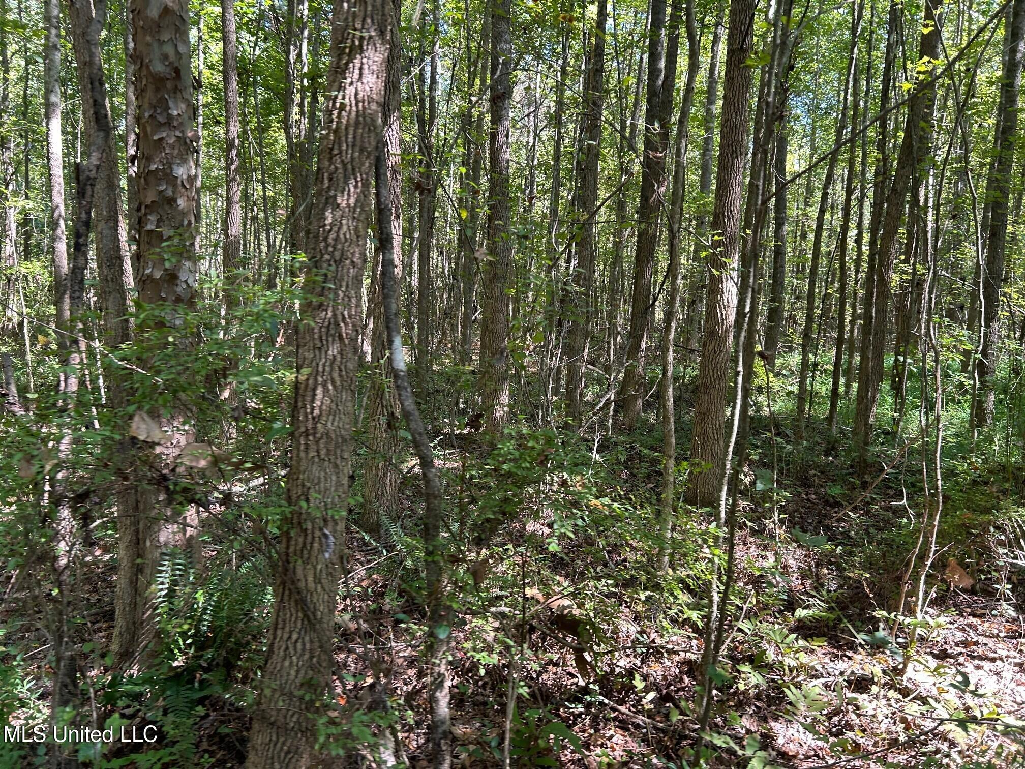 2928 Stokes Cemetary Road Durant, MS 39063 - Photo 28 of 86 f