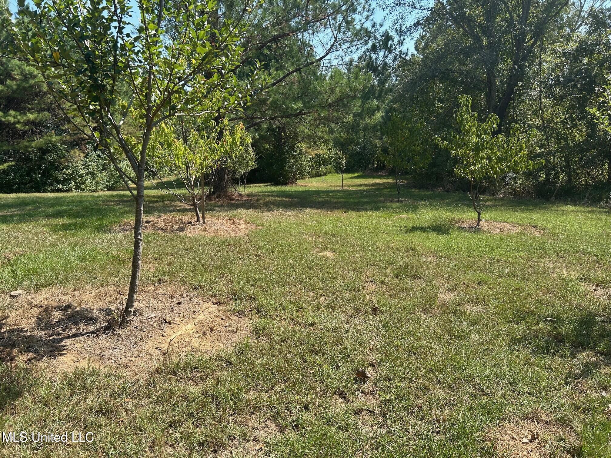 2928 Stokes Cemetary Road Durant, MS 39063 - Photo 29 of 86 ff